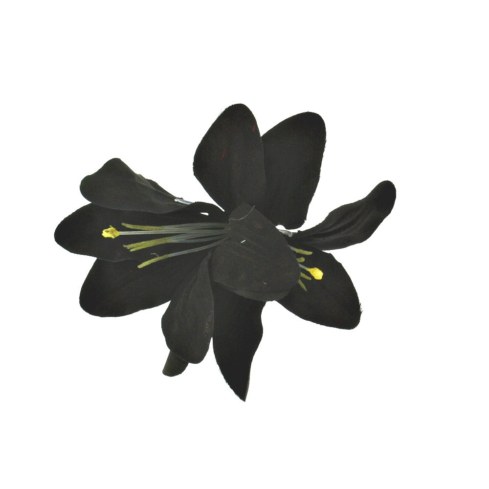 Zac's Alter Ego - Double lily Haarbloem - Zwart